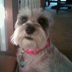 Meet your Posher, Erik